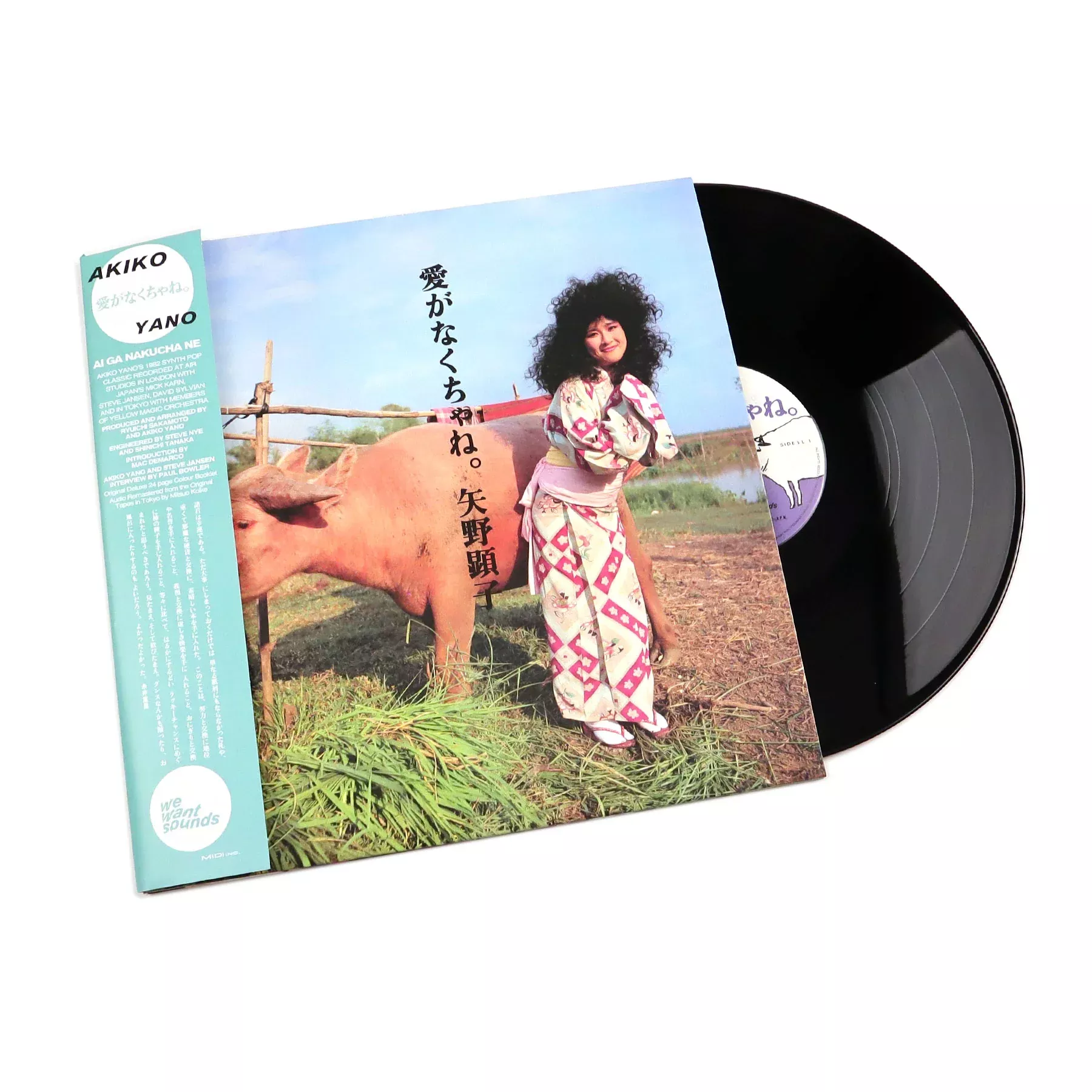 Ai Ga Nakucha Ne Vinyl LP
