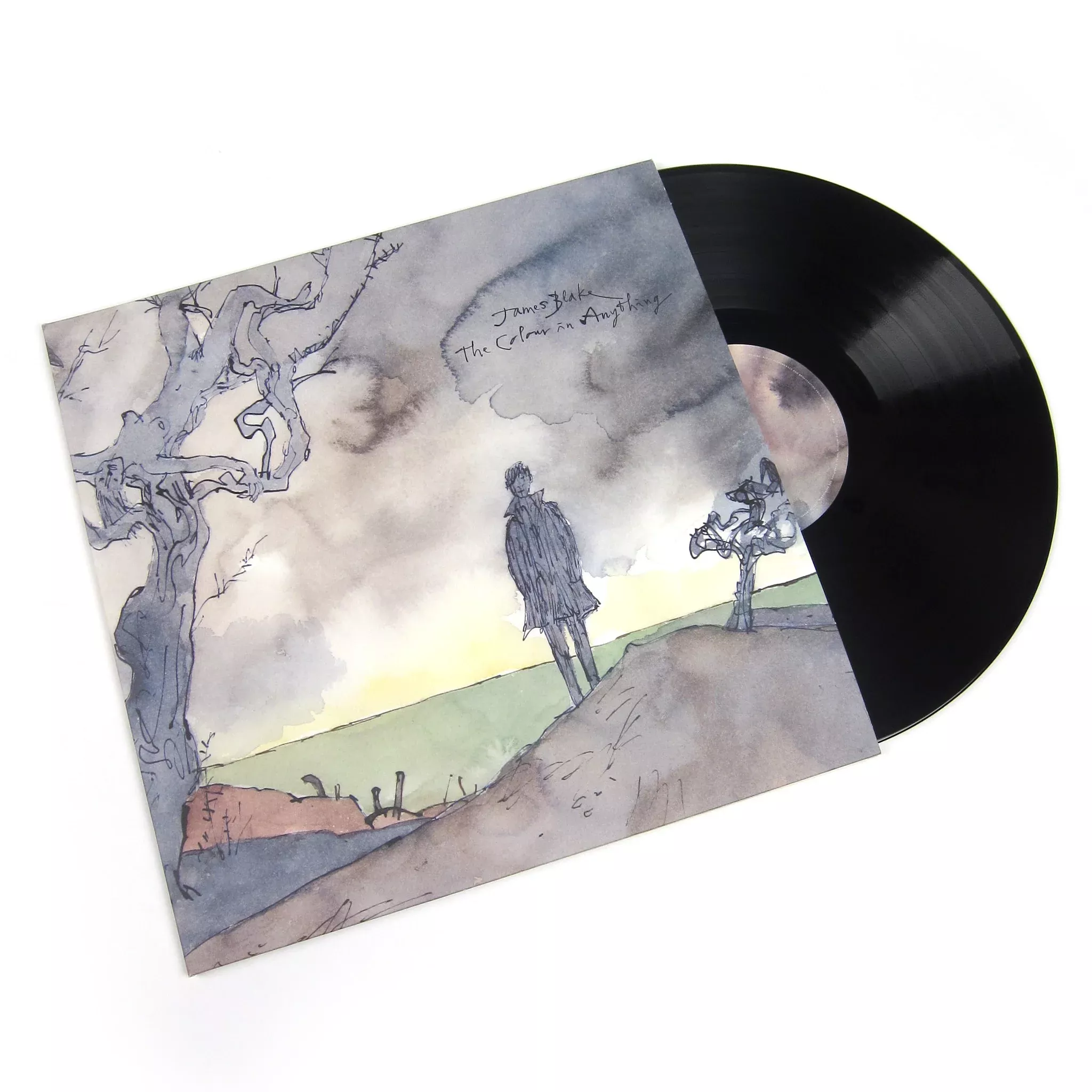 The Colour In Anything (180g) Vinyl 2LP
