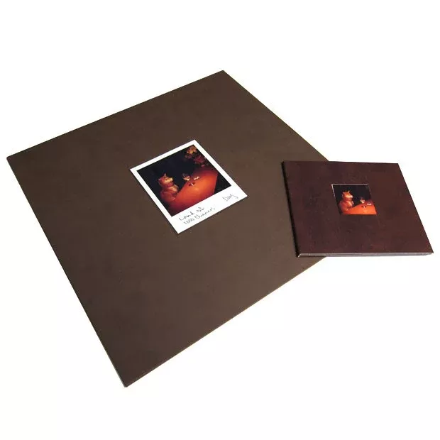 Land of 1000 Chances Deluxe CD / LP